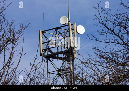 Mobile phone mast Shipton sotto Wychwood Costwolds Regno Unito Foto Stock