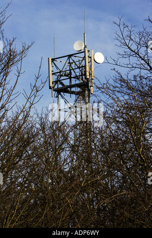 Mobile phone mast Shipton sotto Wychwood Costwolds Regno Unito Foto Stock