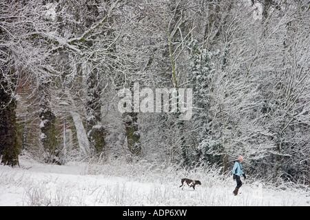 Donna cammina il cane in inverno s giorno in tutta coperta di neve Hampstead Heath North London Regno Unito Foto Stock