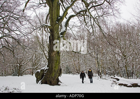 Due uomini a piedi in tutta coperta di neve Hampstead Heath North London Regno Unito Foto Stock