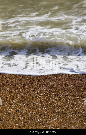 Spiaggia ghiaiosa Inghilterra Brighton Regno Unito Foto Stock