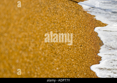 Spiaggia ghiaiosa Inghilterra Brighton Regno Unito Foto Stock