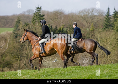 I membri di Heythrop Hunt ride insieme su tutto il campo recante un profumo in Oxfordshire, Regno Unito Foto Stock