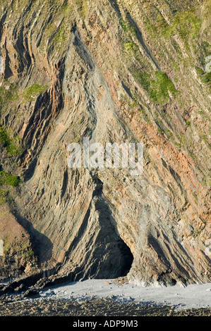 La piegatura in scogliera sul mare rocce a Hartland Quay, Devon, Regno Unito Foto Stock