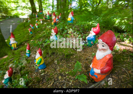 Gnomi al theWest Putnam riserva di gnome, Devon, Regno Unito Foto Stock