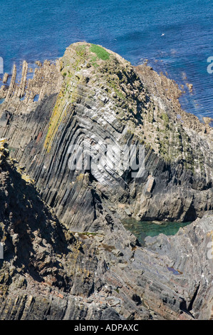 La piegatura in roacks sulla North Devon costa vicino a Hartland Point Foto Stock