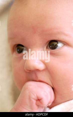Ritratto del bambino Foto Stock
