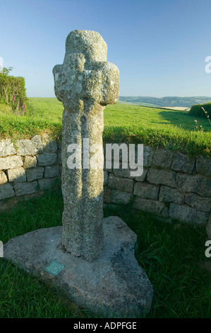 Un antico celtic croce di pietra vicino a St Neots, bodmin, Cornwall, Regno Unito Foto Stock