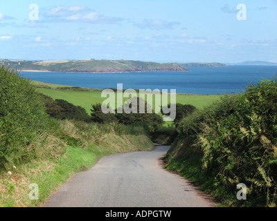 Lane di Pembrokeshire costa vicino a Freshwater East Wales prese Luglio 2007 Foto Stock