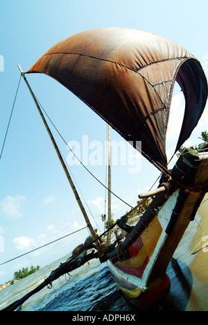 Oruwa tradizionali barche da pesca a Negombo Sri Lanka Foto Stock