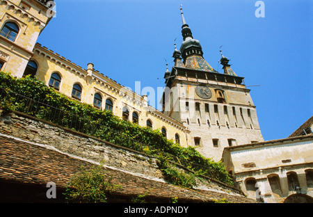 Sighisoara Segesvar torre dell orologio al di sopra delle porte di accesso alla cittadella medioevale Transilvania Romania Foto Stock