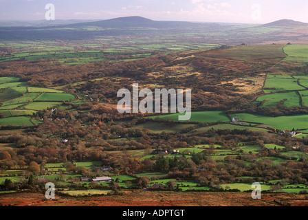 Ty Canol Bosco riserva naturale vicino a Newport Pembrokeshire West Wales UK Foto Stock