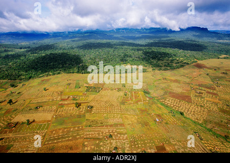 Vista aerea di terreni agricoli africani sul confine del Mount Elgon National Park, Kenya, Africa orientale Foto Stock