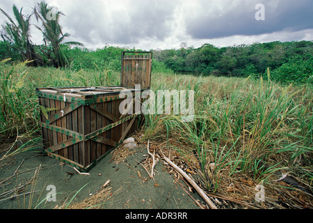 Una Jaguar trappola sulla Playa Sirena, Corcovado NP, Costa Rica Foto Stock