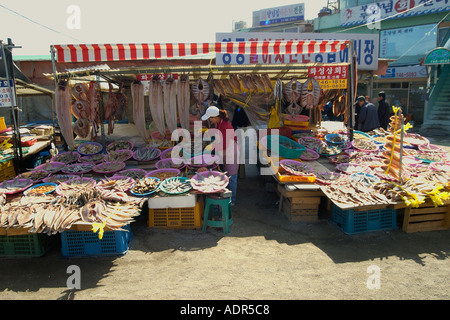 Pesci secchi per la vendita al mercato di frutti di mare nei pressi di Yeongjongdo pier Incheon Gyeonggi Do Corea del Sud Foto Stock