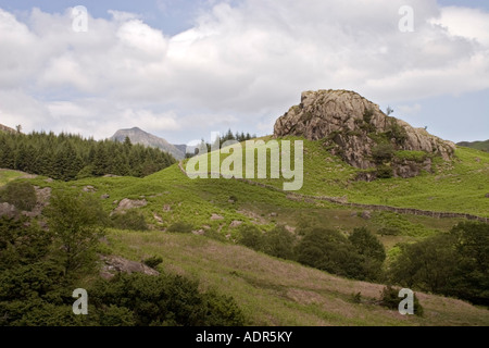 Tarnclose falesia vicino Blea Tarn grande Langdale Pikes in distanza poco Langdale sperone di roccia Foto Stock