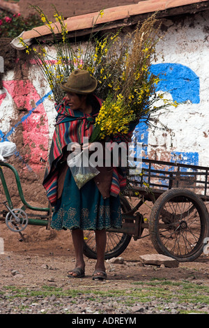 Vecchia Quechua donna Indiana che vendono fiori e foglie di coca, scene di strada e la povertà rurale, [Valle Sacra], Perù, "Sud America" Foto Stock