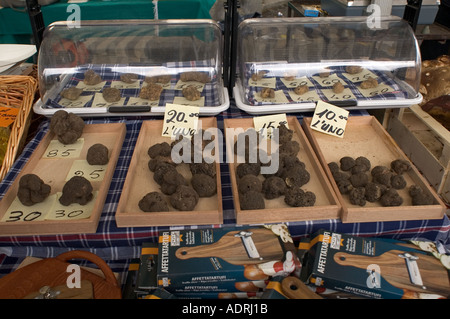 Moncalvo vicino ad Asti Piemonte Italia tartufi mercato Mercato di Tartufo Foto Stock