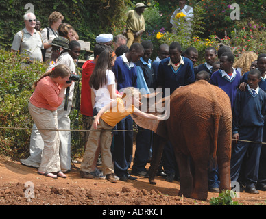 Turisti e visitatori a scuola i bambini si incontrano un bambino orfano l'Orfanotrofio degli elefanti nei pressi del Parco Nazionale di Nairobi Kenya Foto Stock