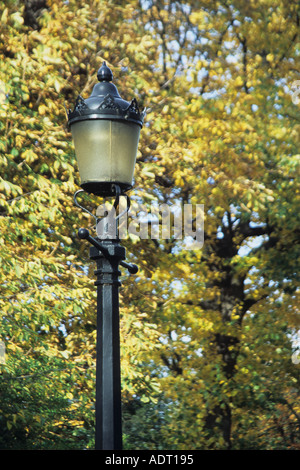 In lampost Regents Park Londra UK in autunno Foto Stock