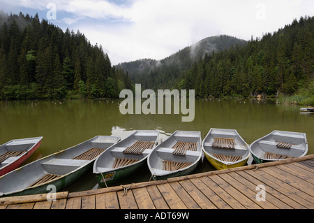 Lacu Rosu, Transilvania, Romania Foto Stock