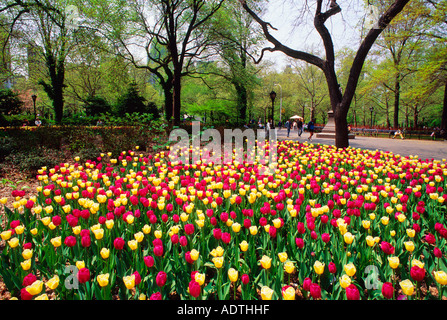 New York Central Park Literary Walk Poets and Writers fiorito di tulipani all'estremità sud del Mall o della Promenade New York City, USA Foto Stock