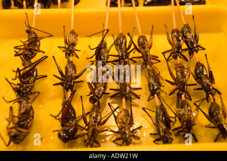 Selezione di insetti cotti in vendita presso la Donghuamen Night Market di Pechino 2007 Foto Stock