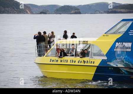 Gruppo turistico prendendo fotografie su avvistamento delfini crociera in catamarano barca Baia delle Isole di Northland Isola del nord della Nuova Zelanda Foto Stock