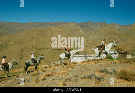 Piloti in Alpujarra montagne della Sierra Nevada in Spagna Foto Stock