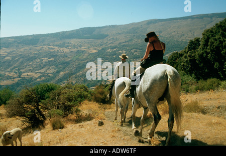 I piloti sul andaluso andaluso e / Arab attraversa in Alpujarra montagne della Sierra Nevada in Spagna Foto Stock