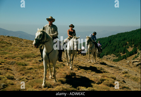 I piloti sul andaluso andaluso e / Arab attraversa in Alpujarra montagne della Sierra Nevada in Spagna Foto Stock