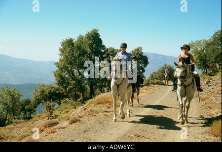 I piloti sul andaluso andaluso e / Arab attraversa in Alpujarra montagne della Sierra Nevada in Spagna Foto Stock