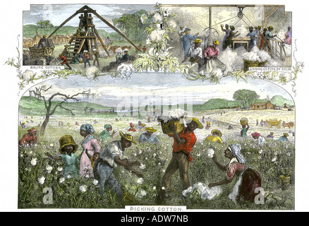 African American schiavi di imballatura di prelievo e la sgranatura del cotone da vapore su una piantagione negli Stati Uniti Sud, 1800s. Colorate a mano la xilografia Foto Stock