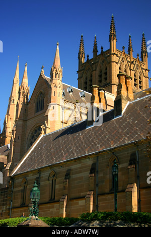 St Mary s Cathedral è la sede dell'Arcivescovo Cattolico di Sydney Foto Stock