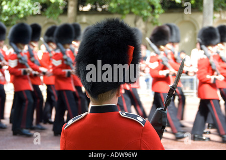 Coldstream guardia al Trooping la cerimonia del colore sul Mall nel centro di Londra Foto Stock