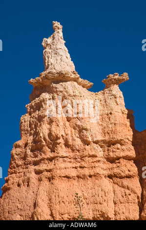 Utah Bryce Canyon National Park Queen's Garden Trail la formazione di calcare Queen Victoria seduto sul trono Foto Stock