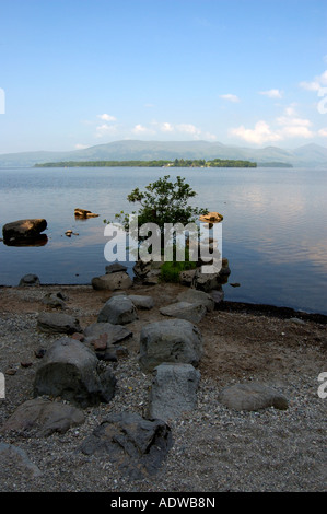 Loch Lomond vicino a Balmaha su una tranquilla mattina di giugno Foto Stock