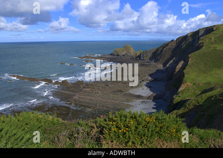 Rocce vicino Hartland Point in Devon Foto Stock