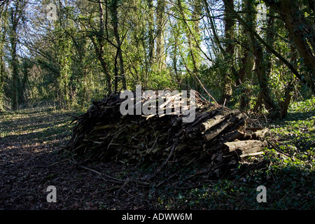 Catasta di legno nella radura Oxfordshire, Regno Unito Foto Stock