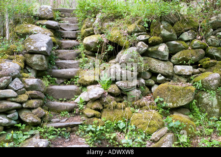Scala per casale abbandonato Foto Stock