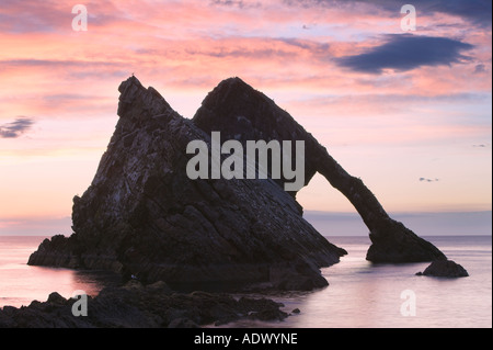 La Prua Fiddle Rock a Portknockie vicino a Cullen, murene, Scozia Foto Stock