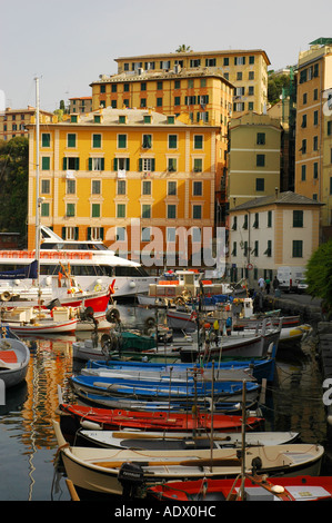 Vista panoramica del porto di pesca nella vivace città di Camogli Liguria Italia Riviera di Levante ligure Foto Stock