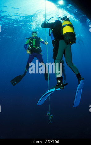 Persone scuba diving, basso angolo di visione Foto Stock