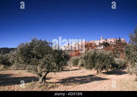 Montfort, Alta Provenza villaggio sulla cima di una collina circondata da oliveti, Francia meridionale Foto Stock