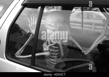 Scary Halloween scheletro di visualizzazione nel sedile posteriore di una macchina Foto Stock