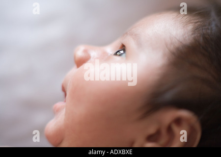 Giovane neonato Foto Stock