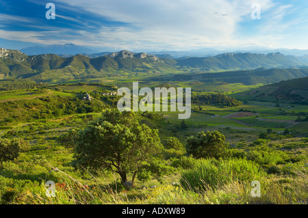 Il Val du Fenouillet nella regione Corbiere con il Pic de Canigou Pirenei nella distanza Languedoc Francia Foto Stock