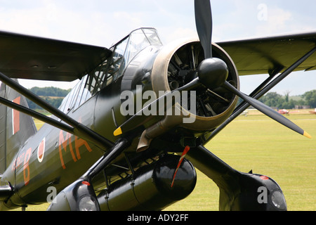 Westland Lysander IIIA Foto Stock