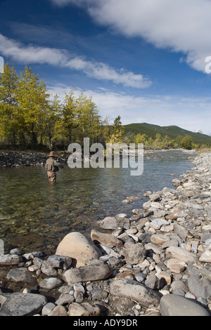 Uomo di Pesca a mosca nel fiume, Kananaskis Country, montagne rocciose, Alberta, Canada Foto Stock