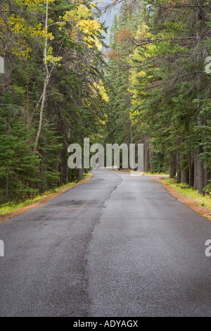 Strada in autunno, il Parco Nazionale di Banff, Alberta, Canada Foto Stock